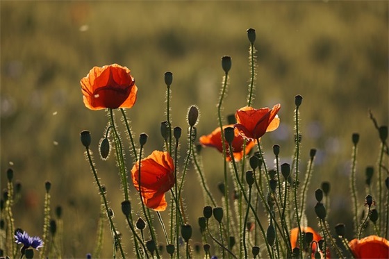 一年级读书口号大全83句 一年级读书口号大全83句