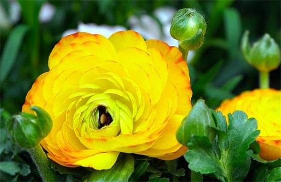 戒毒标语80句 戒毒标语80句