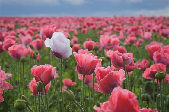 2026预防溺水安全教育宣传横幅标语 2026预防溺水安全教育宣传横幅标语