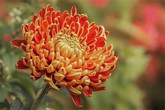 茶楼品牌口号宣传86句 茶楼品牌口号宣传86句