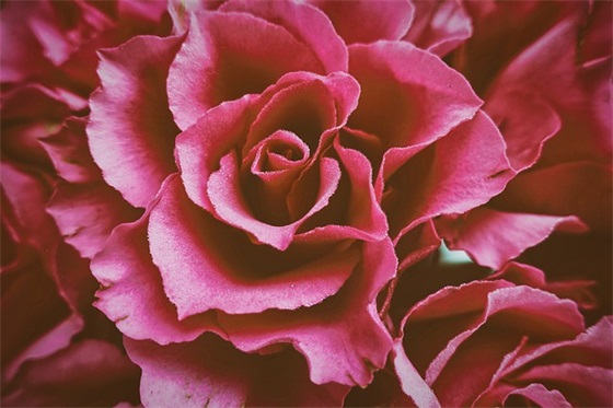 酒店企业文化口号81句