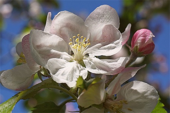 电器销售口号83句 电器销售口号83句