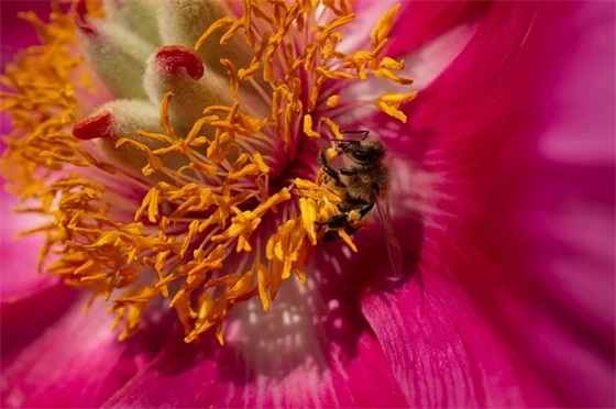 霸气的团队励志口号84句