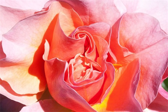 小学生祝福语大全39句 小学生祝福语大全39句