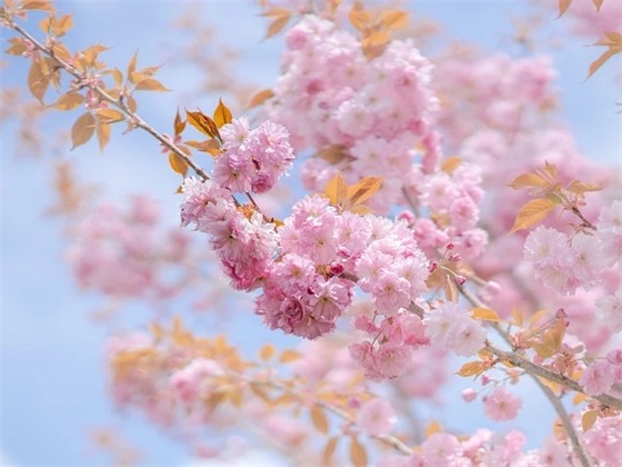 周一祝福语 周一问候语简短