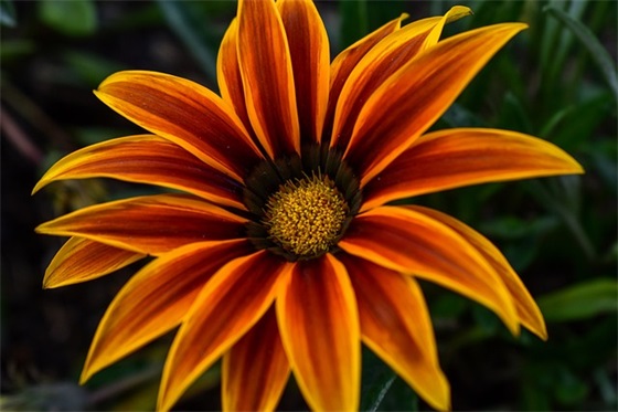 2026年英文祝福语