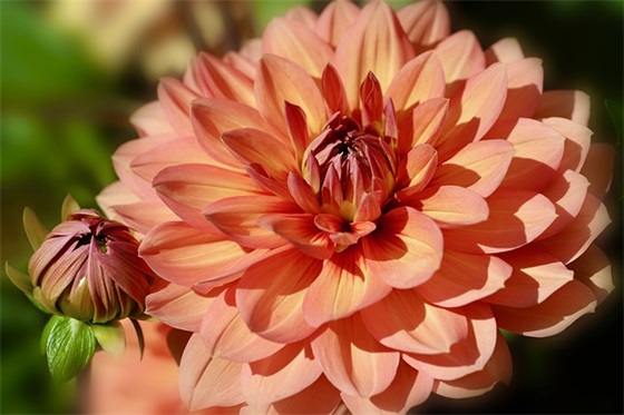 新年给客户的祝福语大全 新年给客户的祝福语