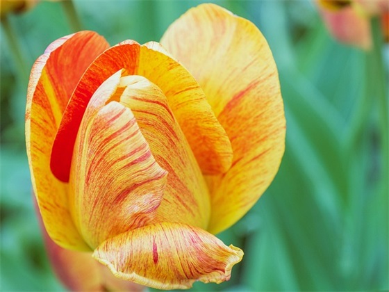 邀请人参加婚礼的祝福语 参加婚礼的祝福语