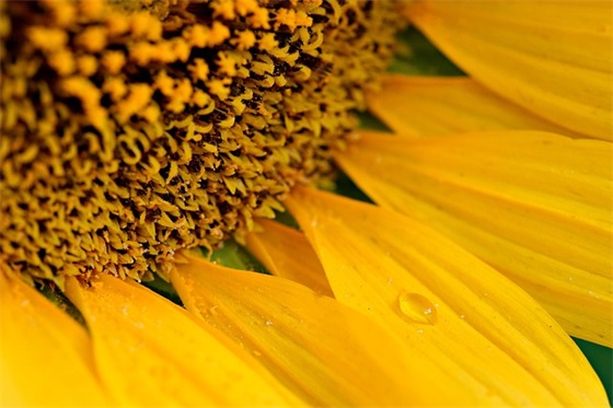 不断进取的高考祝福语