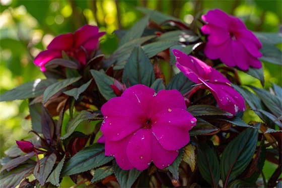 单位运动会方阵口号87句