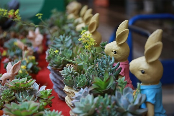 班级口号中学88句