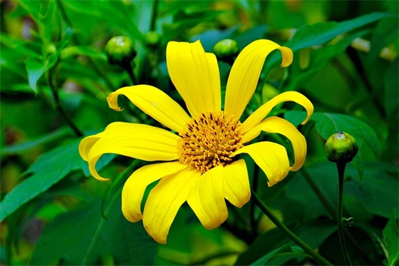 菜市场宣传标语广告97句