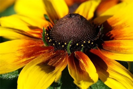 团队口号激励 药店团队激励口号精选