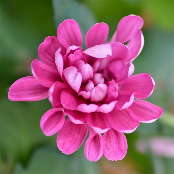 最新运动会口号霸气押韵 运动会口号霸气押韵