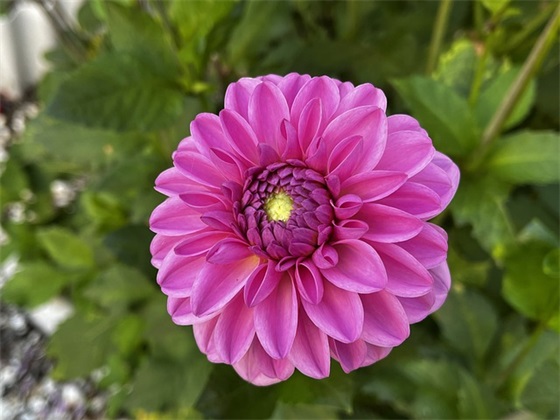 高中普通班级口号81句