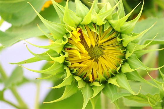 经营理念口号87句