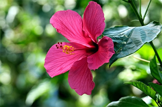 保险公司销售口号84句