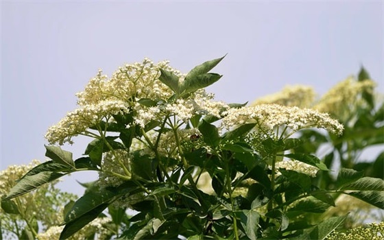 2025最新春季森林防火标语横幅口号大全