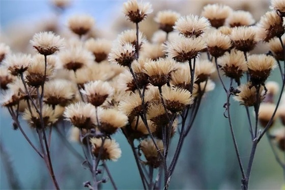 精锐的口号84句