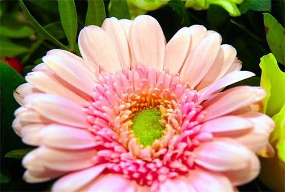 安全消防防火安全标语大全 防火安全标语大全