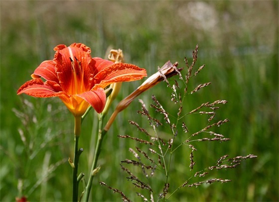 奥迪广告标语22句