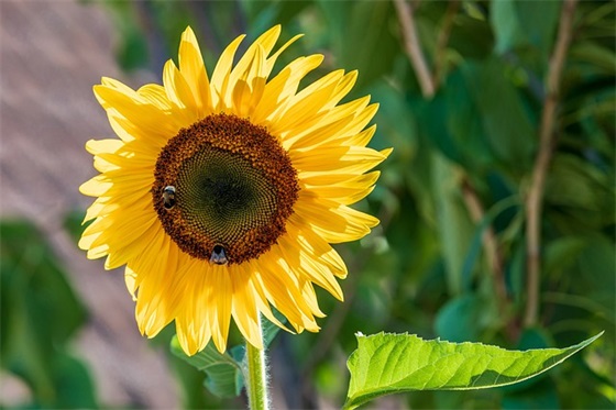 关于班级口号87句