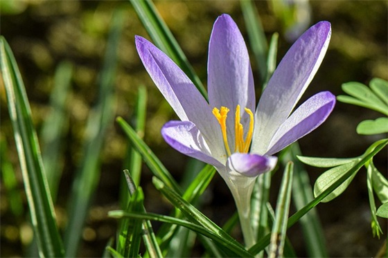 美食的标语103句