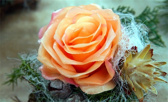 初中口号大全霸气84句