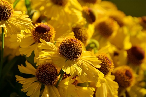 霸气的口号大全85句