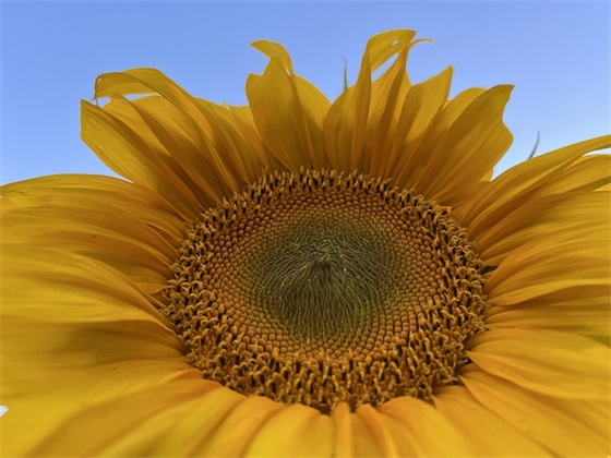 关于读书的口号大全84句