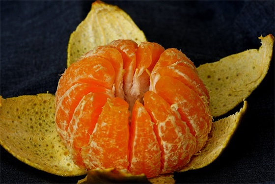 2025疫情防控标语条幅 2025疫情防控宣传文案