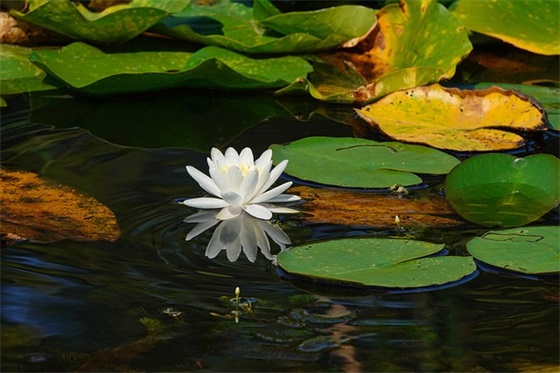 安全文明工地标语 安全文明工地