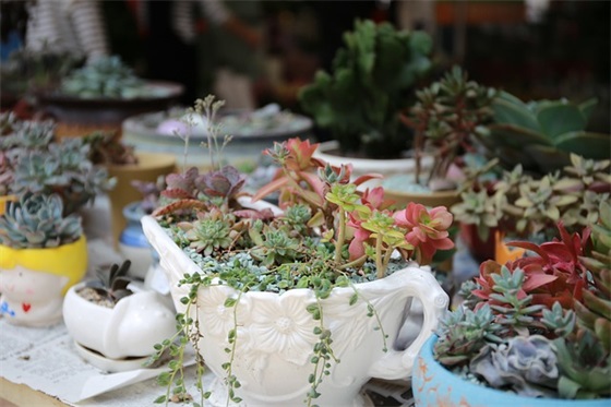 企业文化宗旨标语100句