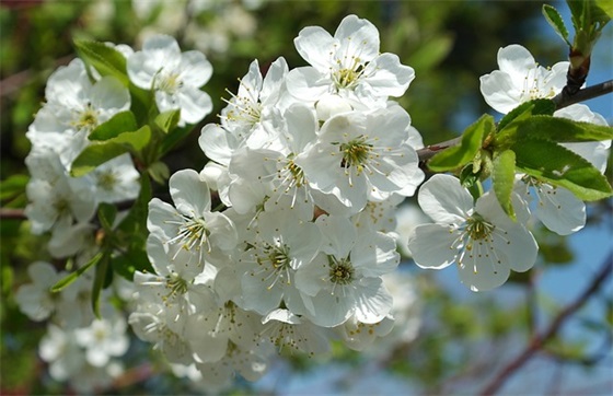 文明城市的标语100句