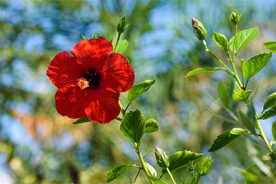 2026关于开学的句子