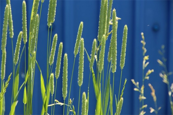 开学正能量的句子