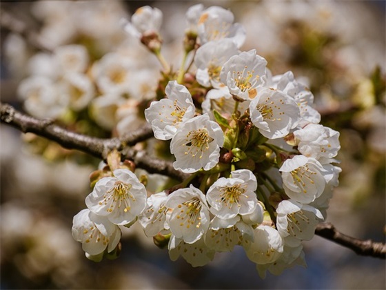 关于取舍的人生感悟 人生懂得取舍的句子