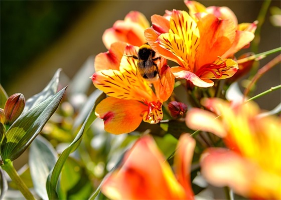 激励年轻人追求爱情的句子