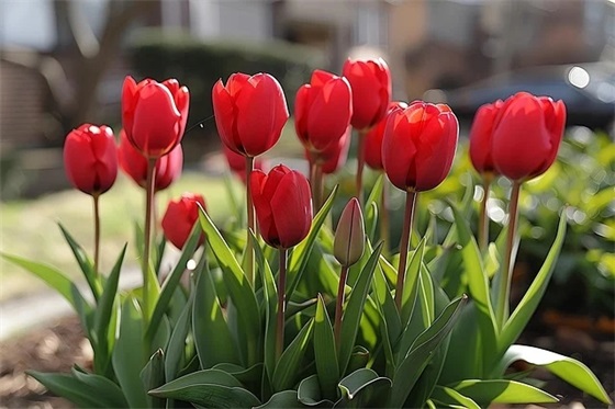 女人淡定优雅的句子 女人知性优雅的句子