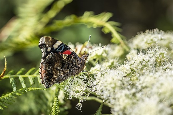 对老公心寒绝望的句子 女人看透婚姻的句子