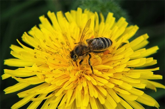 祝情人生日快乐句子 祝男情人生日快乐