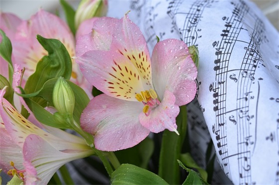 只想平平淡淡的生活的句子