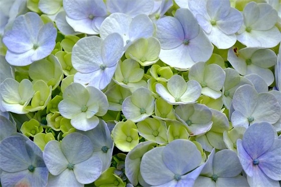 幸福的结婚句子27句