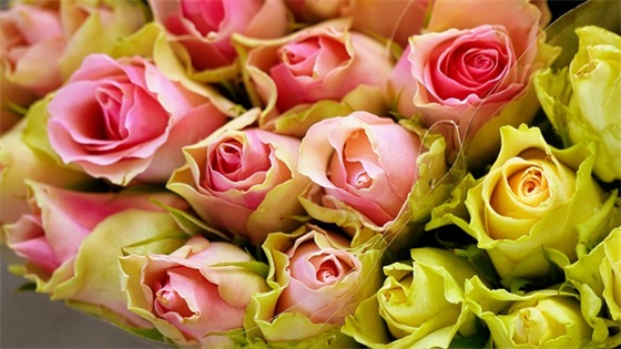 关于人生感悟的句子