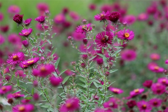 生日送给自己的祝福语 送给自己的祝福语