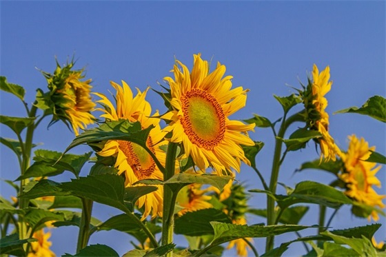 看望朋友生孩 朋友生孩子祝福语精选