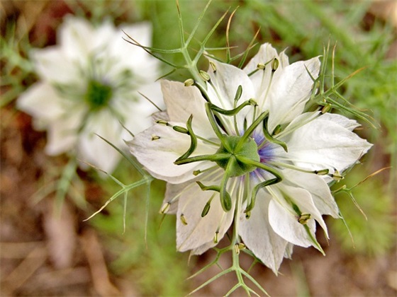形容平静淡定的句子