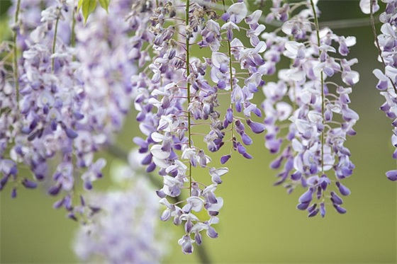 触碰内心深处的伤痛句子 内心痛苦煎熬的句子