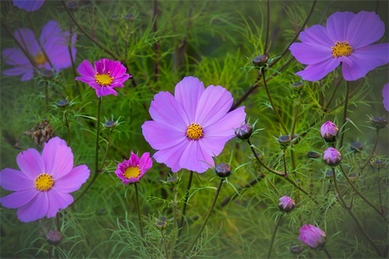 激励人上进的句子大全