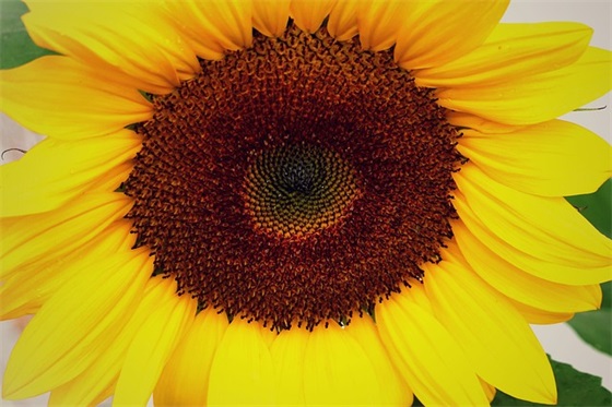 霸气超拽超有范的心情句子素材